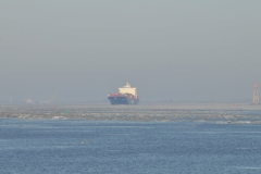 CHS_2496