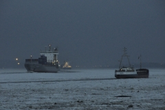 DSC2997__2012-02-17-19-00-31