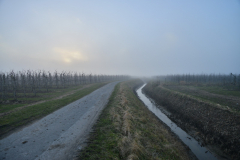 DSC_1147