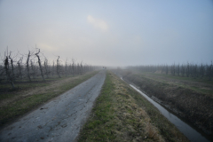 DSC_1149