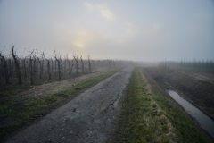 DSC_1150